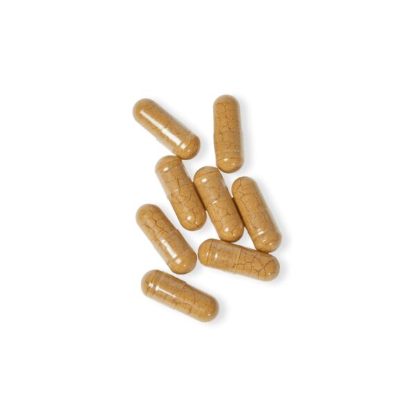 Mushroom Blend Supplement (60 Capsules) - Image 5