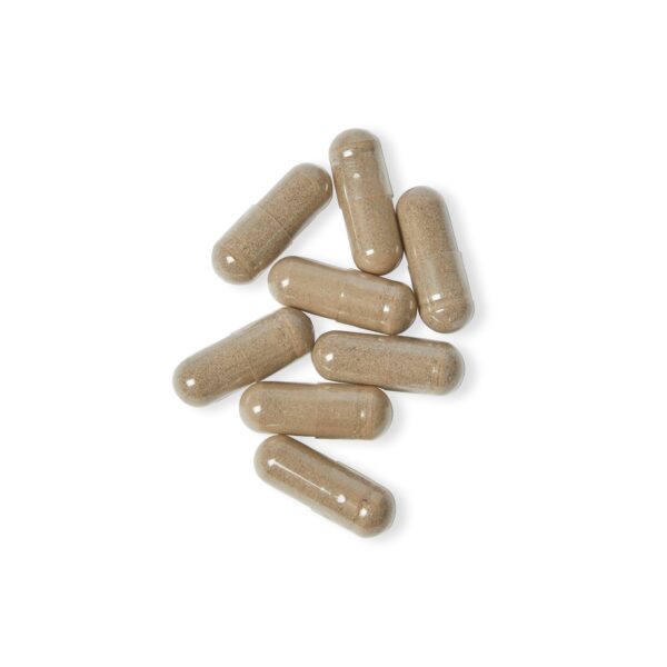 Sea Moss Supplement (60 Capsules) - Image 5